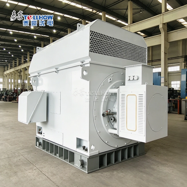slip ring wound rotor induction motor